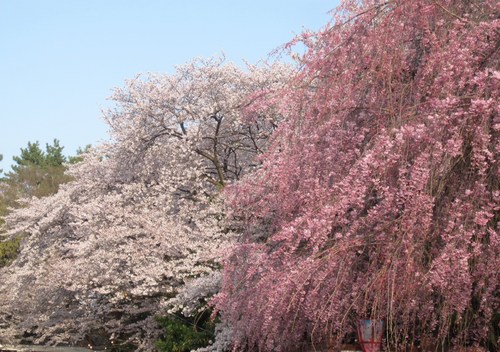 c0225420_20353690.jpg