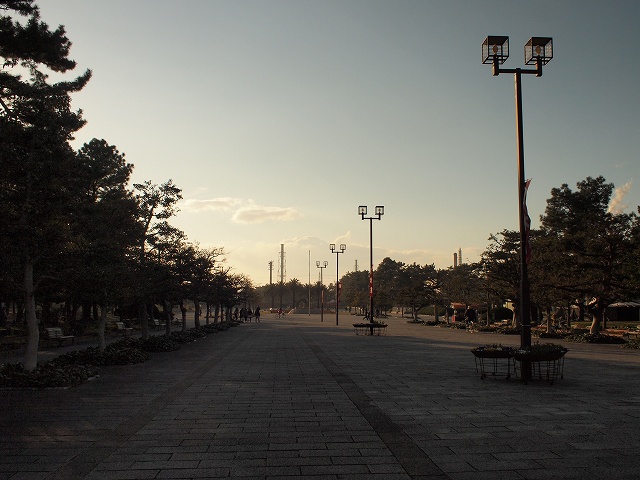a0195223_1432966.jpg