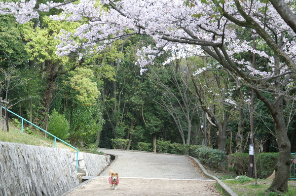 b0173224_21382974.jpg