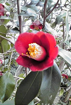a0098027_1713274.jpg
