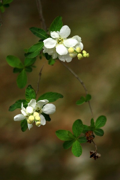 c0104227_6222477.jpg