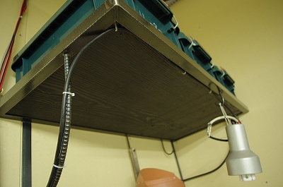 f0178327_15281854.jpg