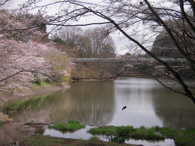 b0025633_2038034.jpg