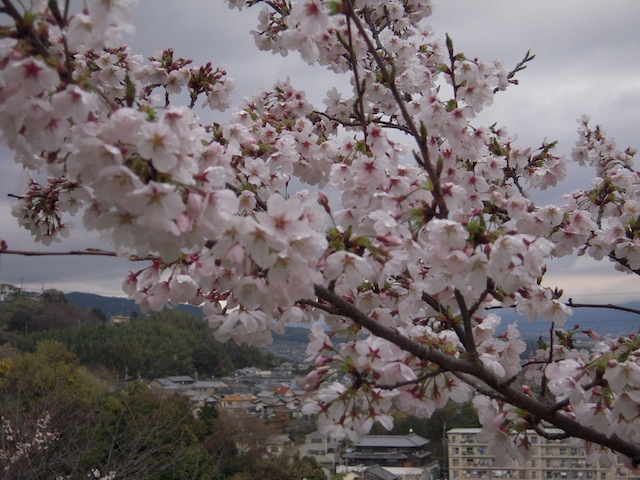 b0025633_20381457.jpg