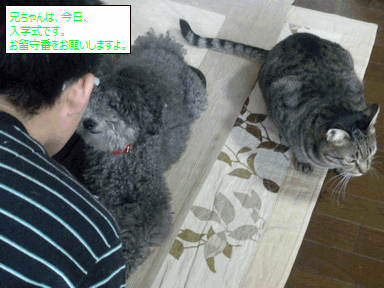 c0136736_15101230.gif