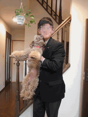 c0136736_1511036.gif