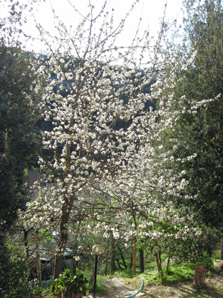 f0234936_2331826.jpg