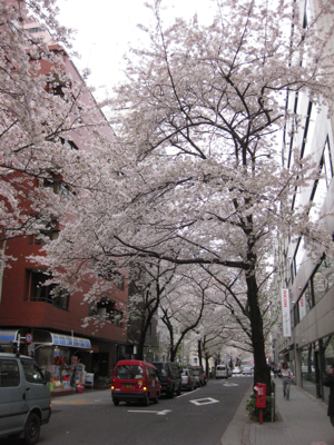 f0141840_12313760.jpg