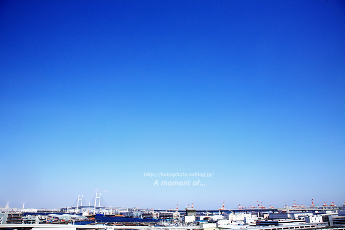d0143741_1475722.jpg