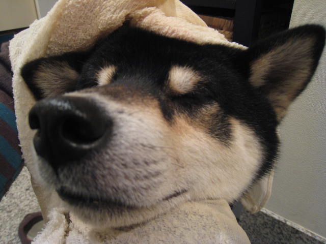 f0058241_22274870.jpg