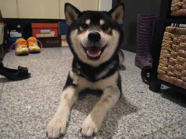 f0058241_2227884.jpg