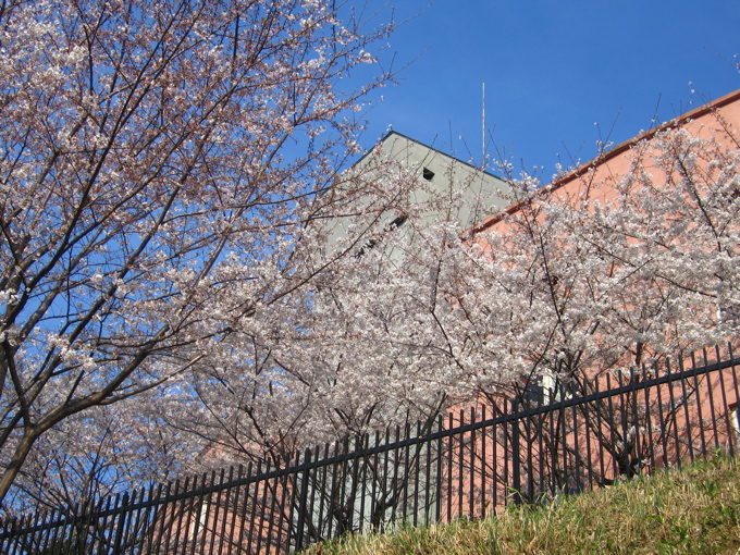 a0051443_1354437.jpg