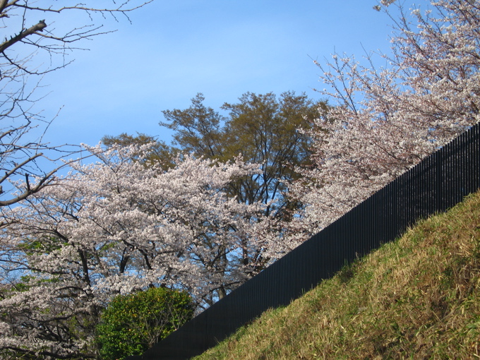 a0051443_13545813.jpg