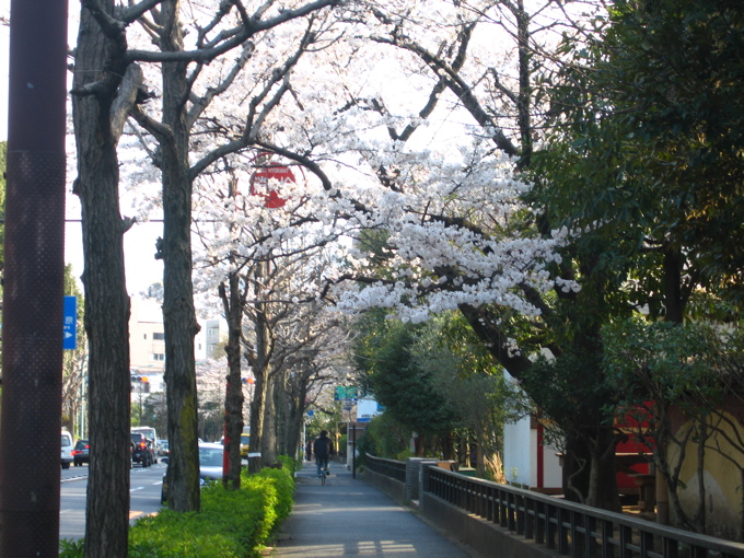 a0051443_1355141.jpg