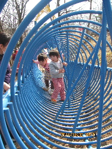 c0065744_14323041.jpg