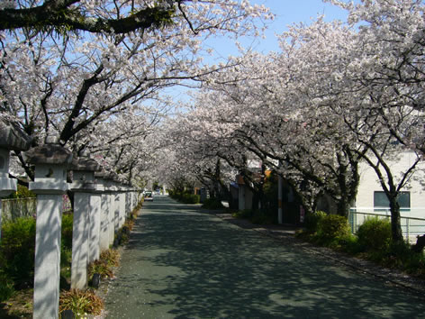 f0067354_13535889.jpg