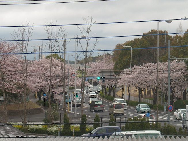 a0088456_1654244.jpg