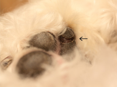 a0187356_14325837.jpg