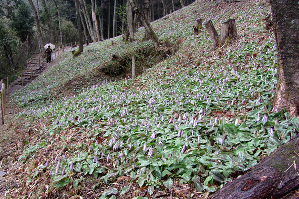 f0007956_17425053.jpg