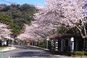 e0014058_231408.jpg