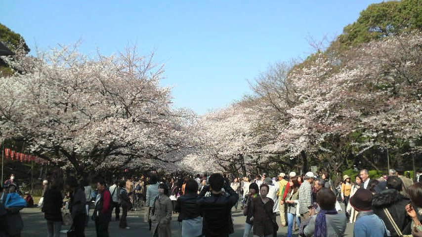 f0065167_2112568.jpg