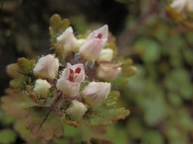 c0042869_19292620.jpg