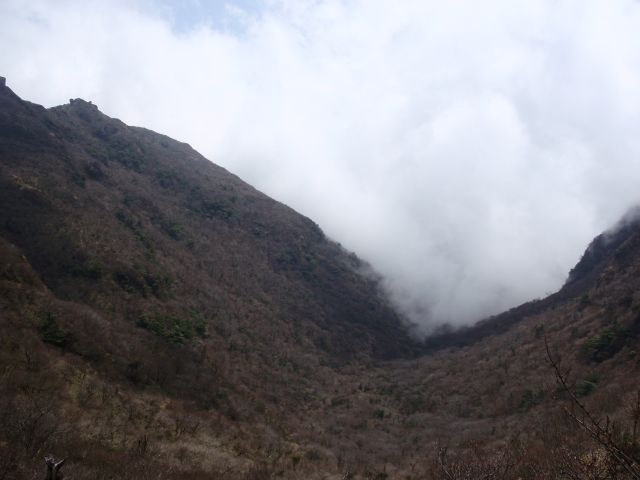 c0042869_19515538.jpg