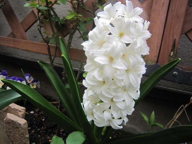 c0202870_14351738.jpg