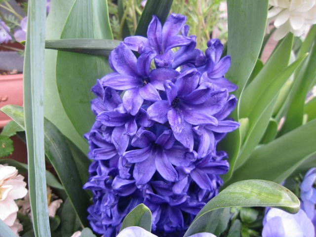 c0202870_14353457.jpg