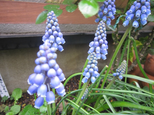 c0202870_14393039.jpg