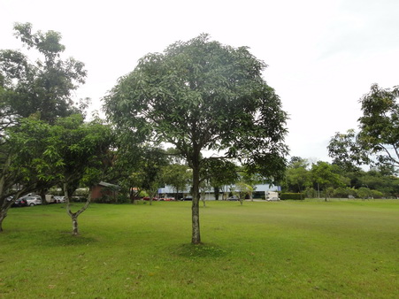 a0002177_1714283.jpg