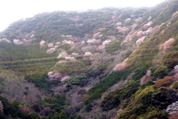 f0054677_7383074.jpg