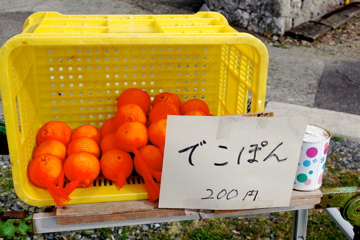 f0054677_7421381.jpg