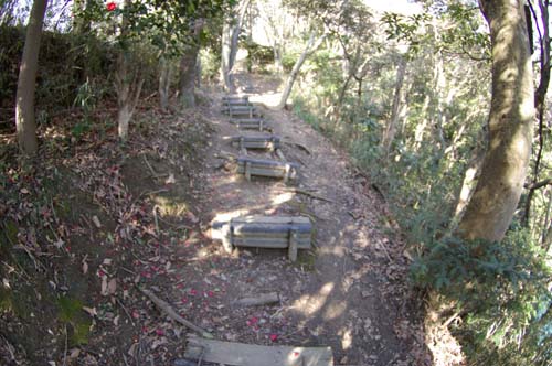 f0211178_1254029.jpg