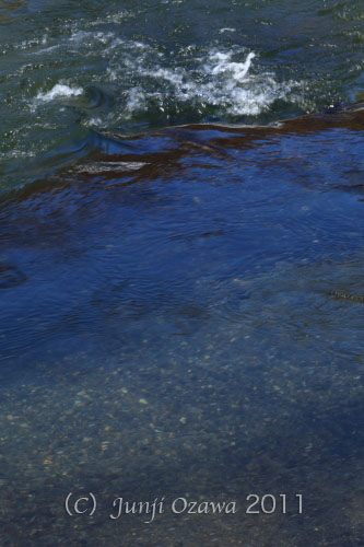c0195281_8373177.jpg