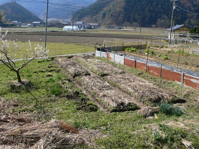 b0042882_1325575.jpg