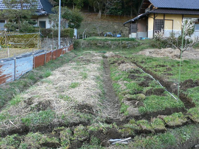 b0042882_1440195.jpg