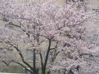 c0035386_10151463.jpg