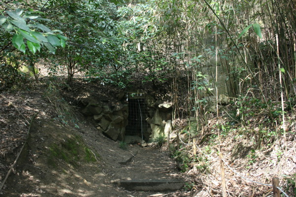 b0118987_1531115.jpg