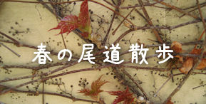 c0107588_22302163.jpg