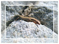 c0107588_22384324.jpg