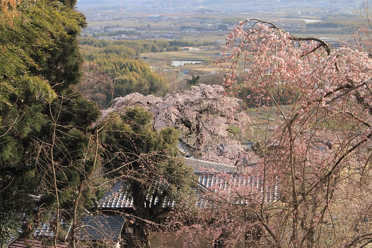 e0051888_2191536.jpg