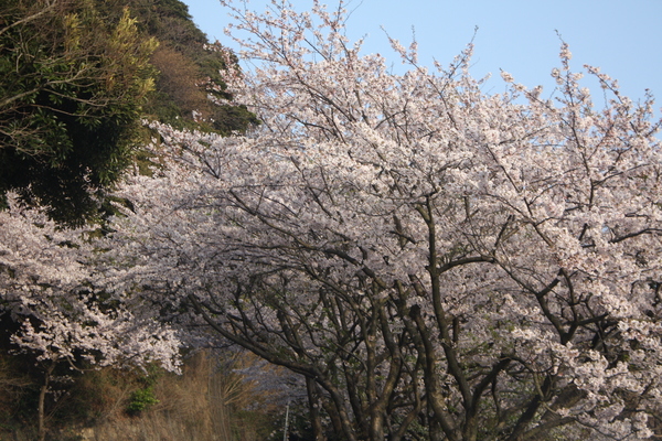 b0205389_23442682.jpg