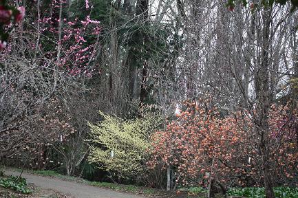 e0164690_0532560.jpg