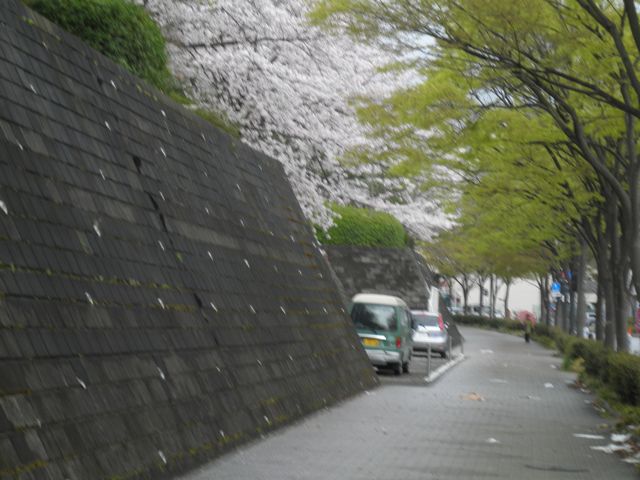 f0130894_20553014.jpg