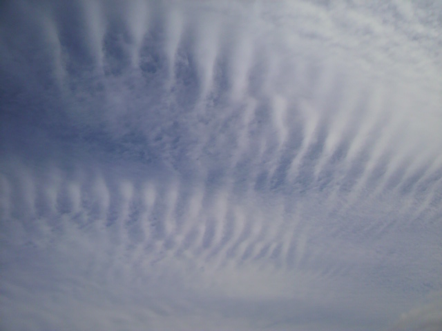 f0226095_0103195.jpg