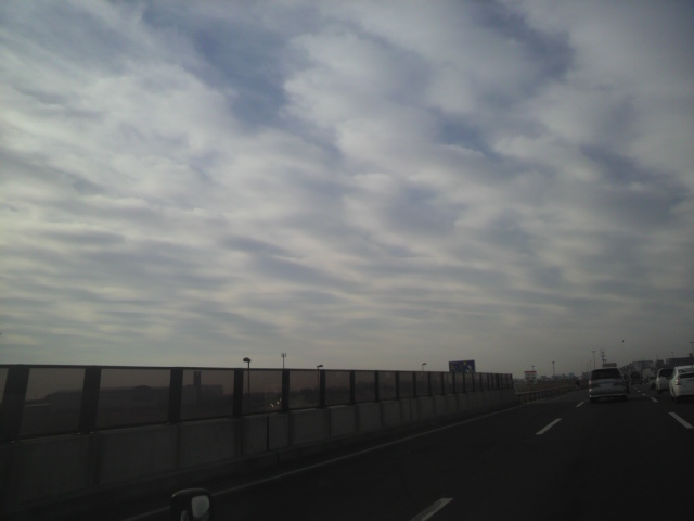 f0226095_035415.jpg