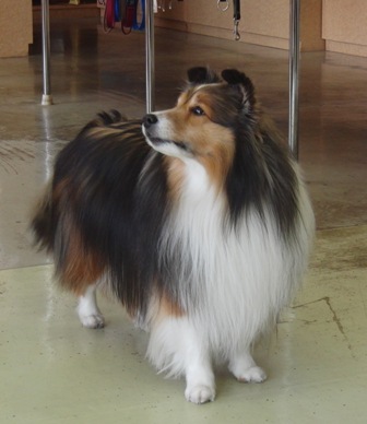 f0077697_1795558.jpg