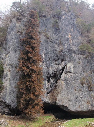 e0077899_810518.jpg