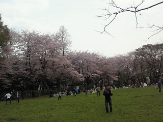 b0160300_2322434.jpg